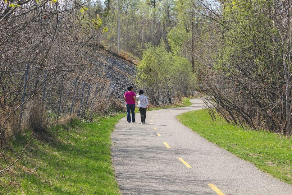 Back View of Two People Walking on an Asphalt Road Between Trees