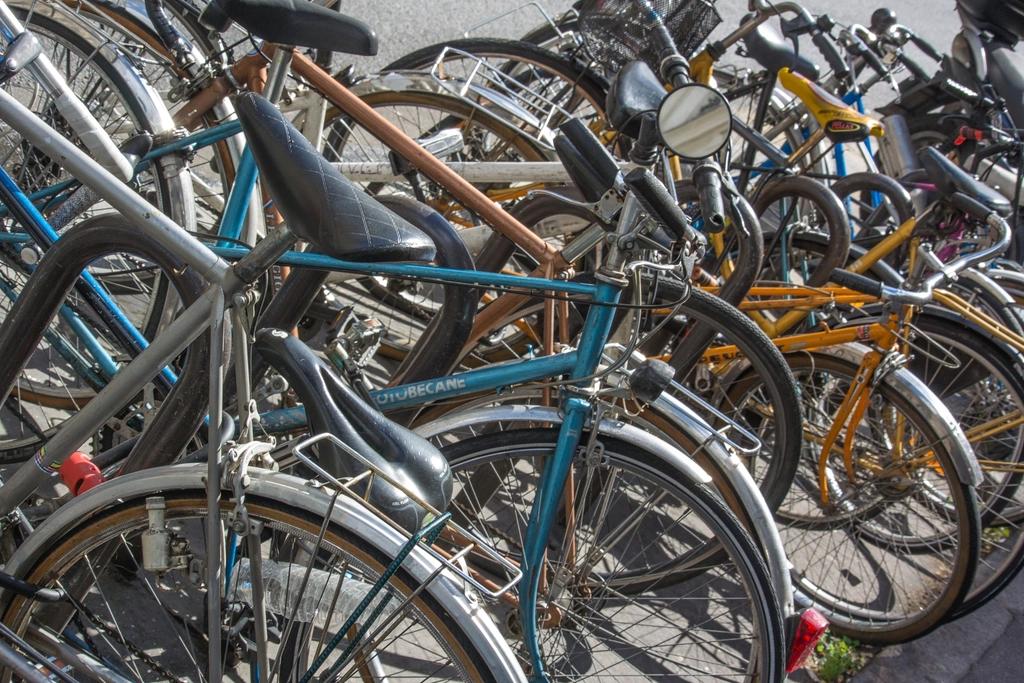 Belleville Residents Discover 15+ Free Summer Activities This July