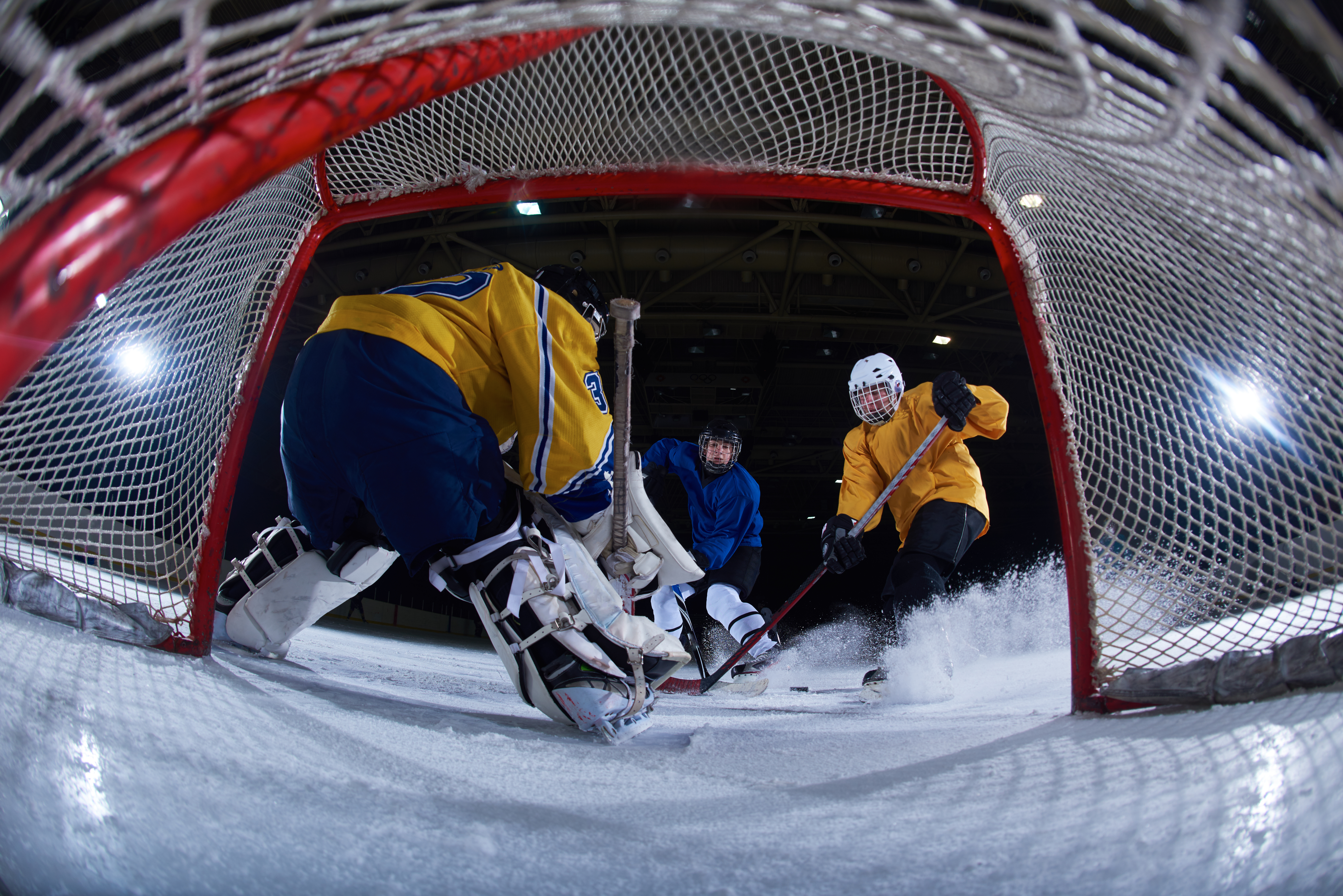 Belleville Athletes Dominate Weekend: Hockey, Rugby, School Sports Results